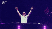 ultra europe GIF by Hardwell
