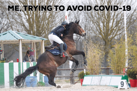 Equestrian_News giphygifmaker fail horse covid GIF