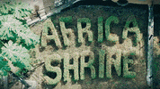 GIF by Partisan Records