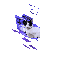 Cat Sticker