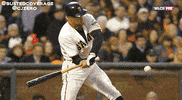 baseball ball GIF
