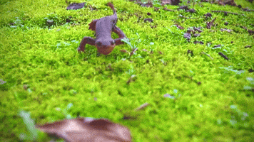 Run Running GIF by EDGARDUDE