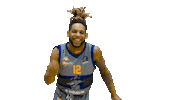 British Basketball Sticker by Sheffield Sharks