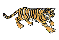 Animal Print Sticker by aire retro