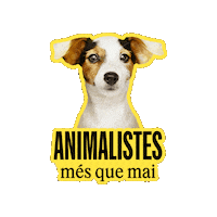Sticker by esquerrabcn