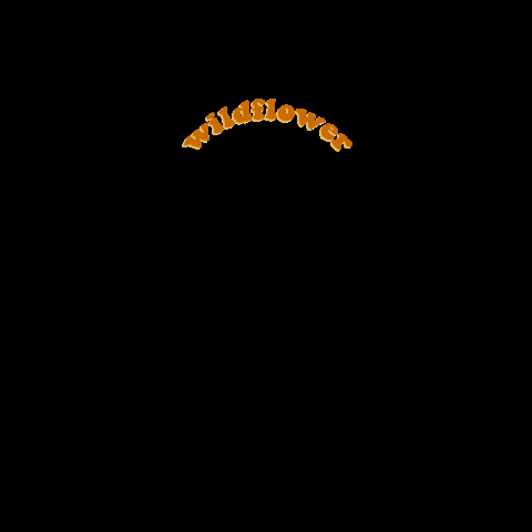mariaruben giphygifmaker retro flower band GIF