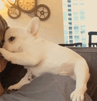 happy friday everyone GIF by mtv