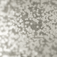 new year gif GIF by midnightcake