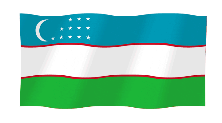 Flag Uzbekistan Sticker by SHEDEVR