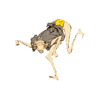 japonicagraphic dance ukiyoe japonica graphic Sticker