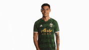 Portland Timbers Silence GIF by Timbers