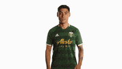 Shocked Portland Timbers GIF by Timbers