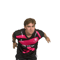 Ball Crowd Sticker by Somerset County Cricket Club