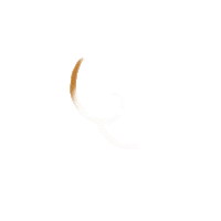 Point Arrows Sticker