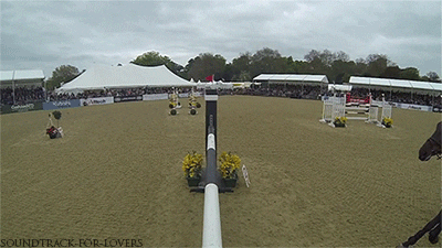 horse riding GIF