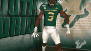South Florida Go Bulls GIF by USF Athletics