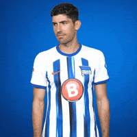 Andreas Bouchalakis Smile GIF by Hertha BSC