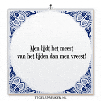 Nl Hoop GIF by Tegelspreuken.nl