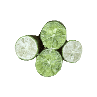 Finger Lime Sticker by Miami Fruit