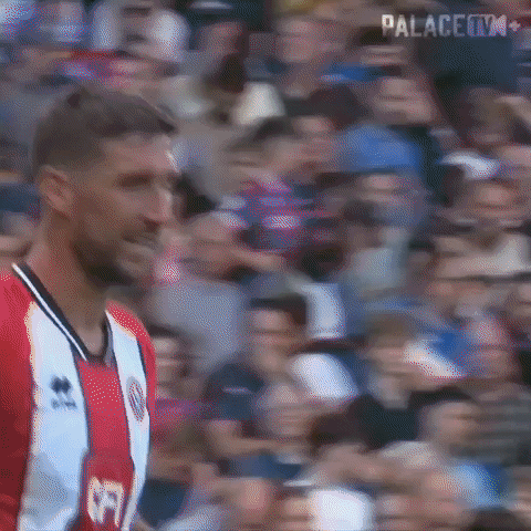 Crystal Palace Smile GIF by Crystal Palace Football Club