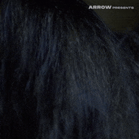 Lucio Fulci Horror GIF by Arrow Video