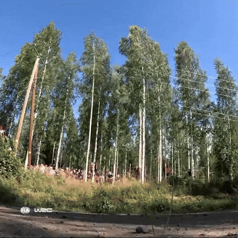Too Fast Motorsport GIF by FIA World Rally Championship