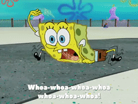 season 4 krusty towers GIF by SpongeBob SquarePants