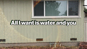 Protect Public Health GIF by SGVmosquito