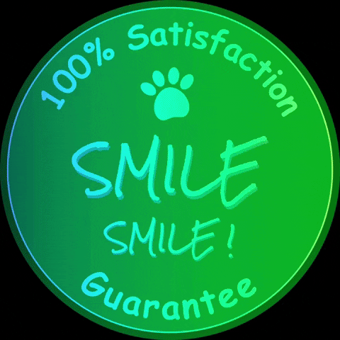Jetpetresort  GIF