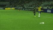 selecao brasileira GIF by Confederação Brasileira de Futebol