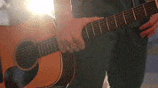 Baseball Austin GIF by Texas Longhorns