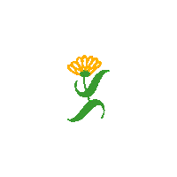 Orangeflower Sticker by Jacob's Pillow Dance Festival