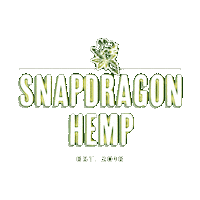 The Dragon Chattanooga Sticker by Snapdragon Hemp