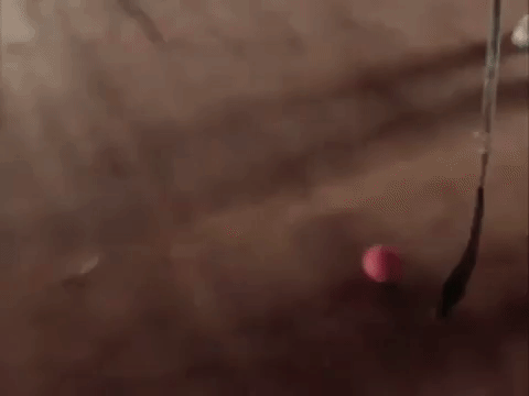 nickrewind giphydvr nicksplat are you afraid of the dark giphyareyou018 GIF