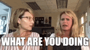 Chicksonright what are you doing chicks on the right mock and daisy GIF