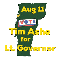 Vote Election Sticker by TimAsheVT