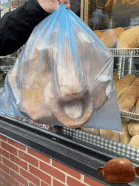 GIF by Alex Boya