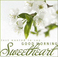 good morning GIF by youramazing