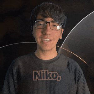 Nikko GIF