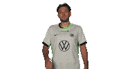 Proud Vfl Wolfsburg Sticker by Bundesliga