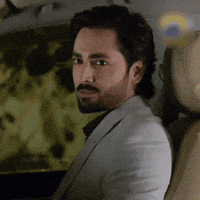 Danish GIF