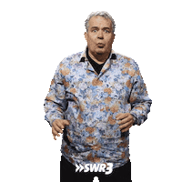 No Way What Sticker by SWR3