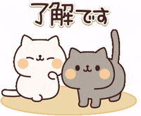 In Love Cat GIF