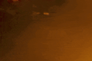 GIF by Paloma Mami