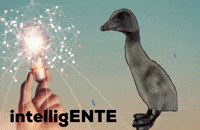 Duck Einstein GIF