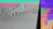cellophane GIF by King Gizzard & The Lizard Wizard