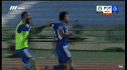 Afc Taj GIF