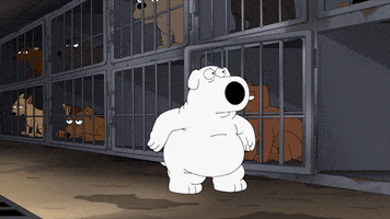 dance dancing GIF by Family Guy