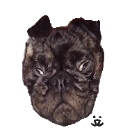 Best Friends Adopt Dont Shop Sticker by Best Friends Animal Society