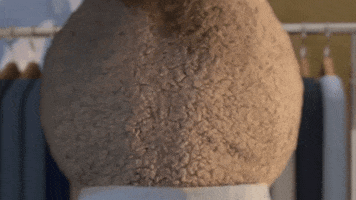 tv series bunny GIF by Zackary Rabbit